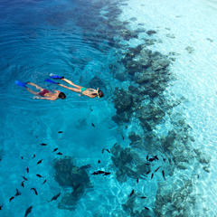 XL Maldives Vilamendhoo Snorkeling
