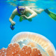 XL Maldives Jellyfish Underwater Photographer Snorkeling Vertical